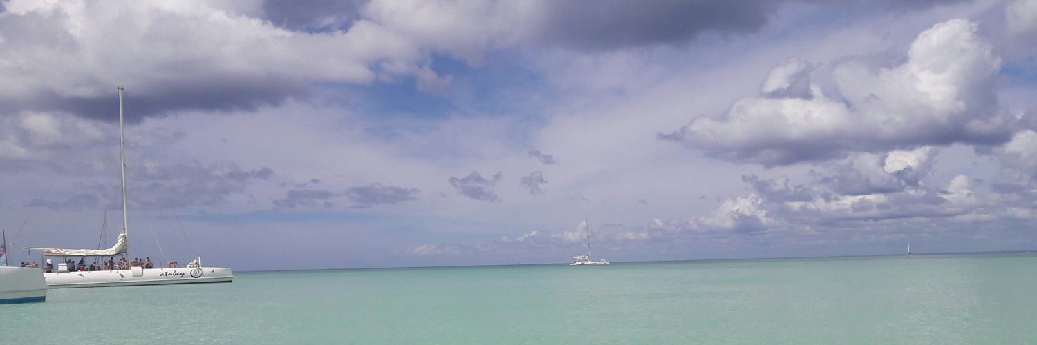 natylafont's profile banner image