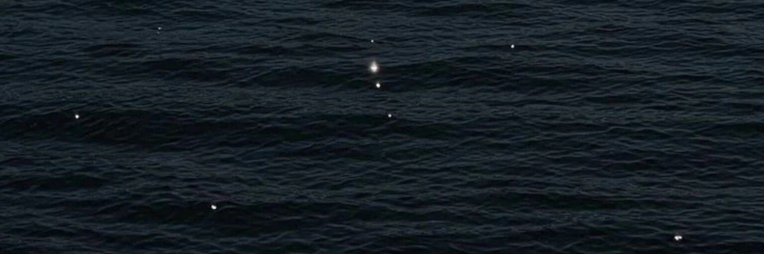 ɴ banner
