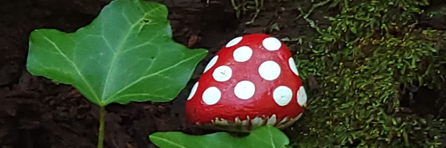 laurapproves's profile banner image