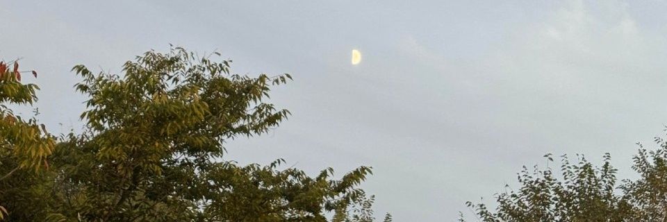 배. banner