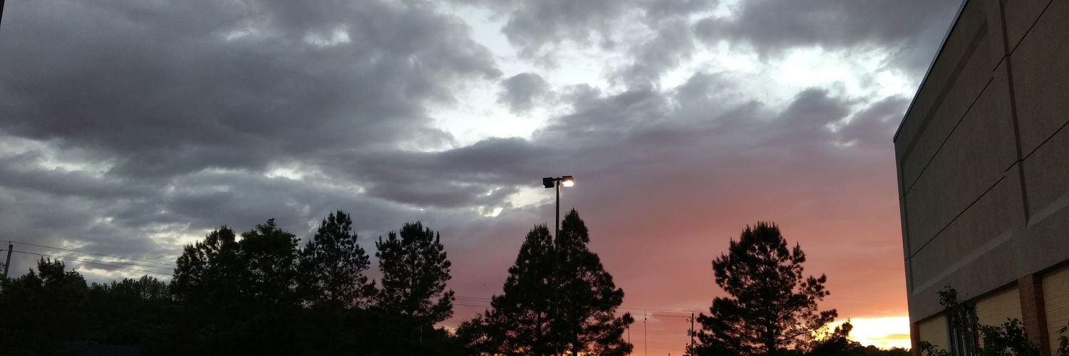 Rougemacintosh's profile banner image