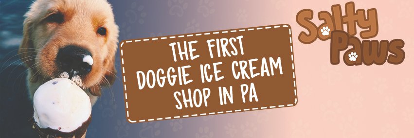 Salty Paws Pittsburgh banner