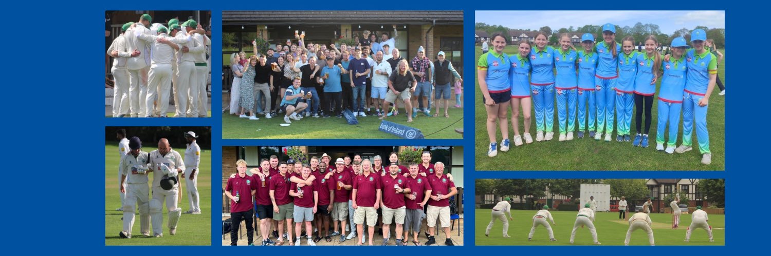 Bishopston Cricket Club banner
