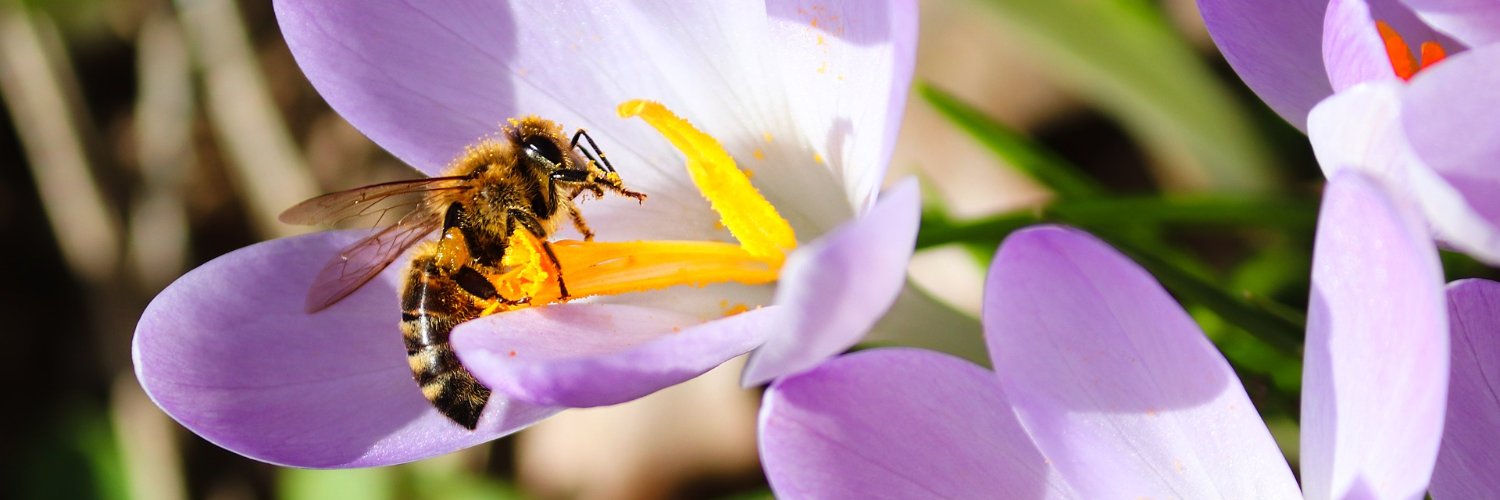 Shawna is tired banner