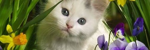 MostellerWinn's profile banner image
