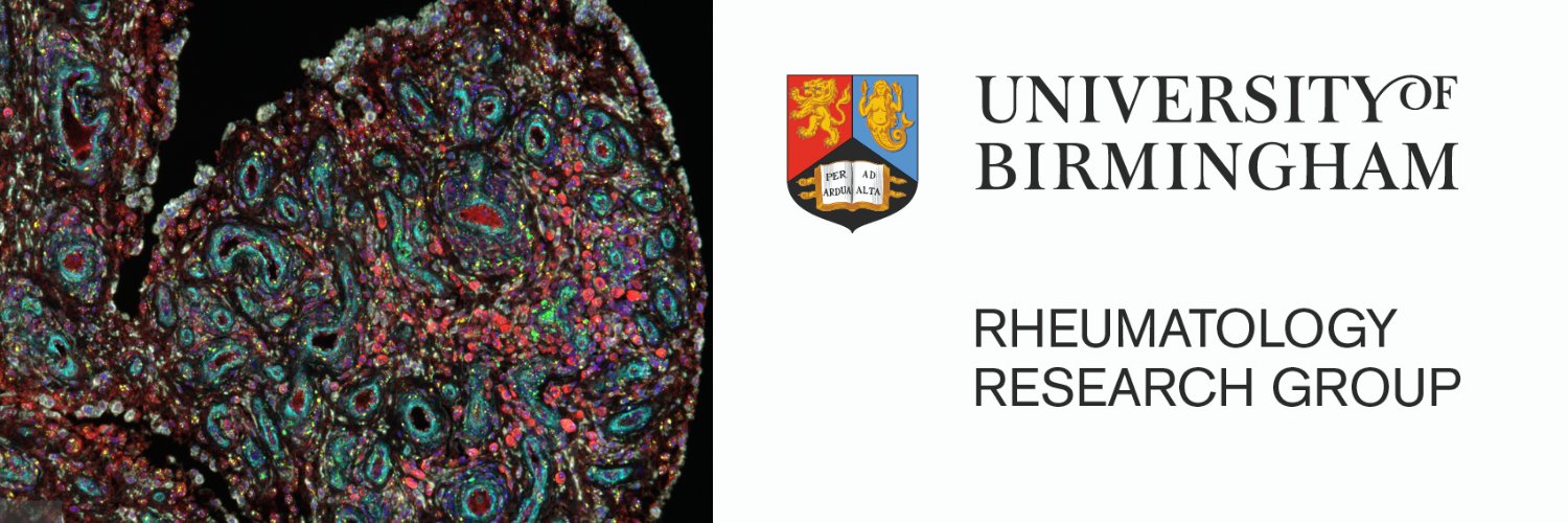 Birmingham Rheumatology Research Group's banner