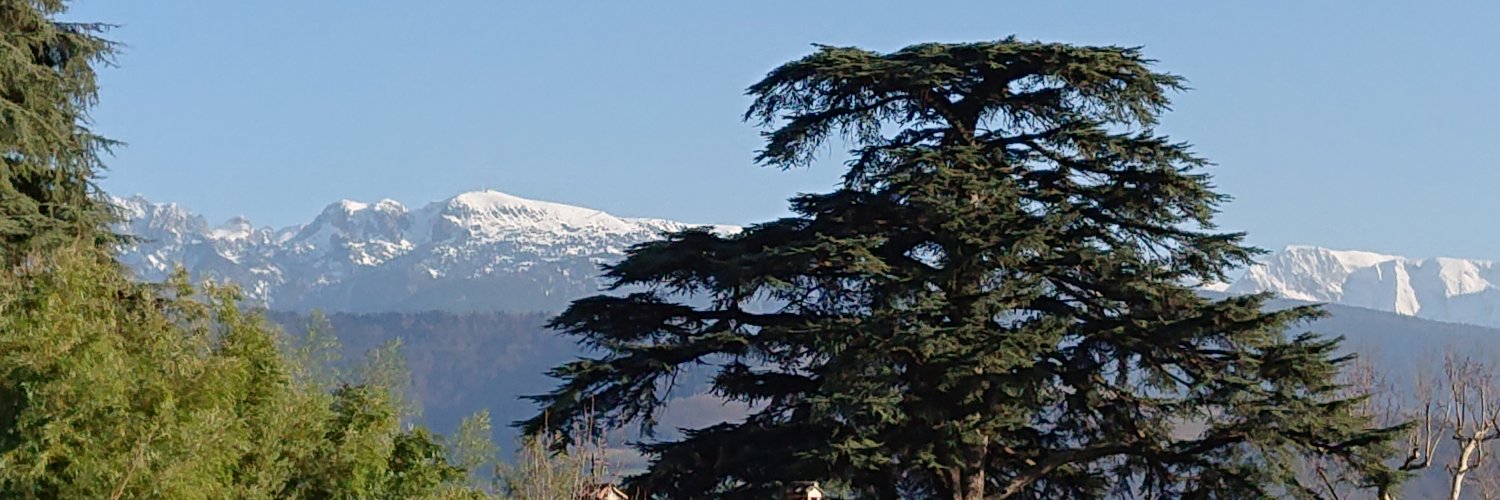 Igor Paromtchik banner