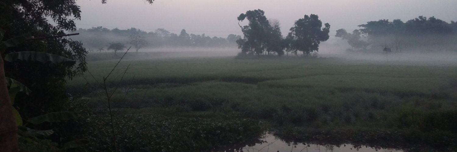 uddin_saifan's profile banner image