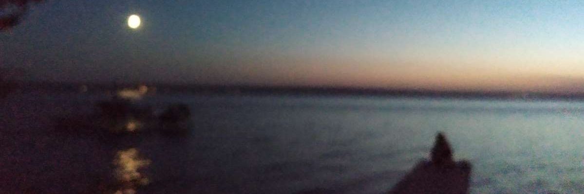 gogy_too's profile banner image