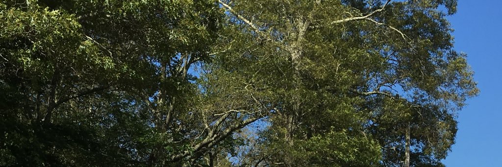 Rosati_10's profile banner image