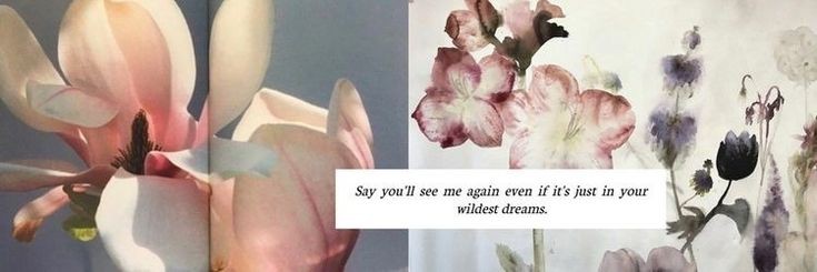 ؘ banner