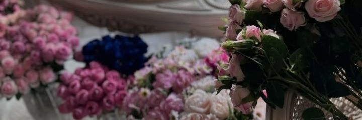 𝙾𝚌𝚝_𝟾𝟶'𝚜 banner