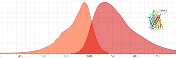 mKate Profile Banner