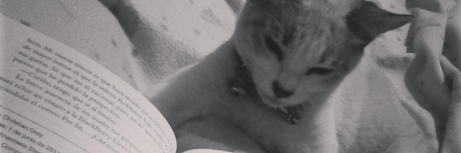 Lpmar20's profile banner image