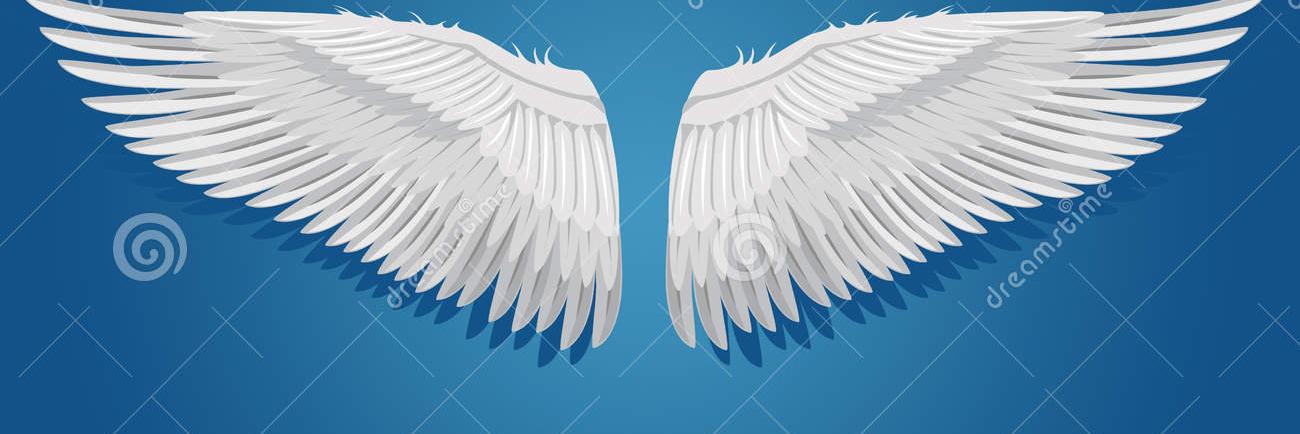 gustavoenrique7's profile banner image