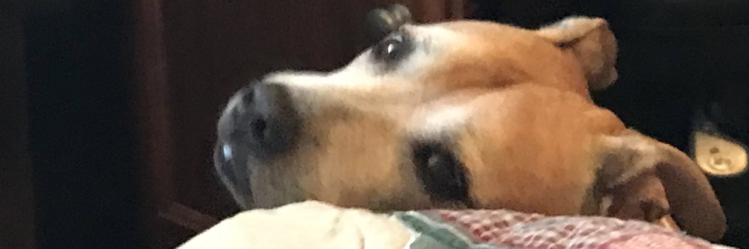 OregonEriK's profile banner image