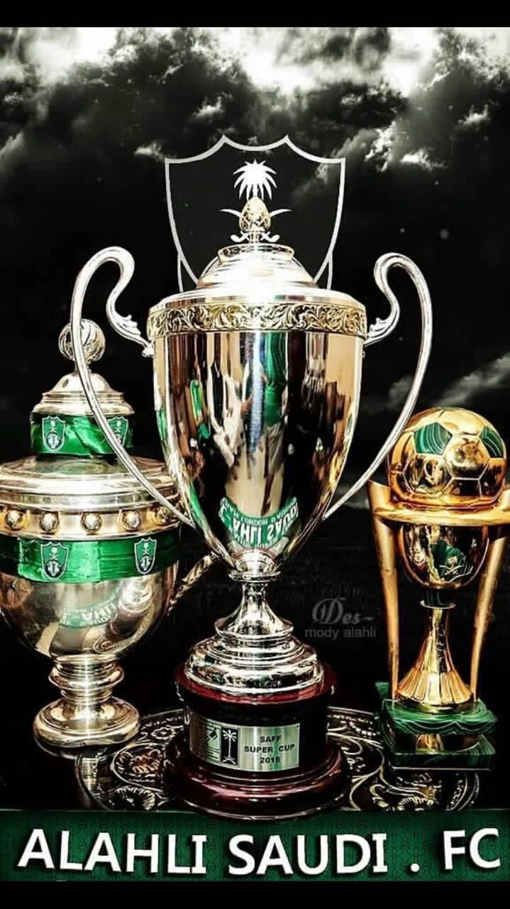 ملك القارة 🇸🇦 banner