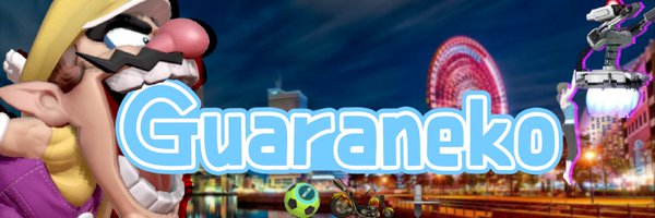 PedroGu4rani Profile Banner