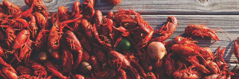 LA_Culinary's profile banner image