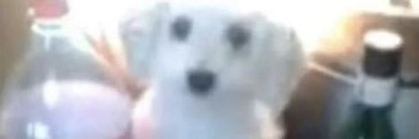 hailyex's profile banner image