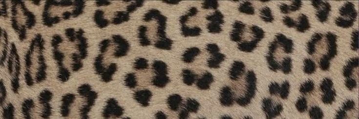 cadu, o maior gangstar da taquara's banner