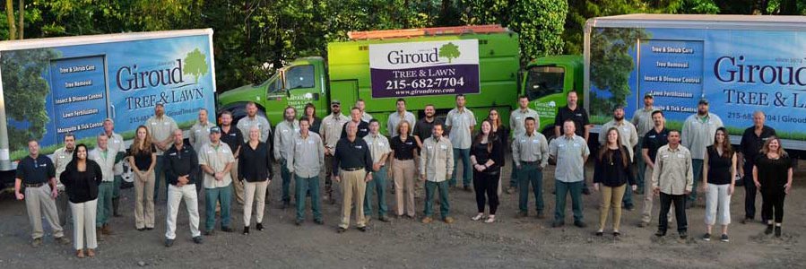 giroudtree's profile banner image