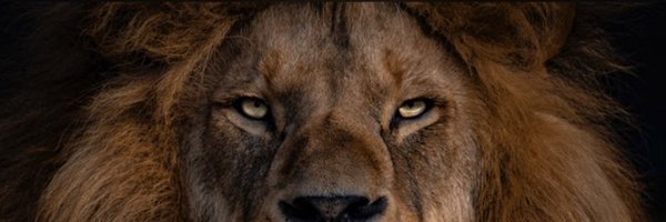TardyfrmHTX Profile Banner