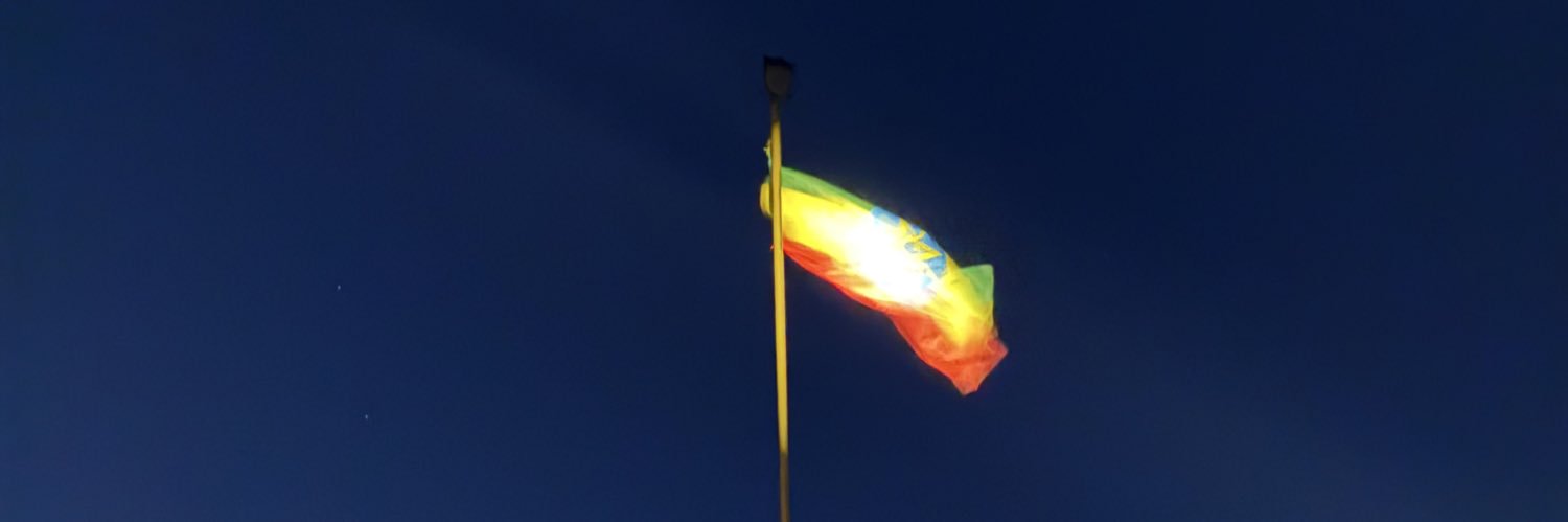 Edom Fekade banner