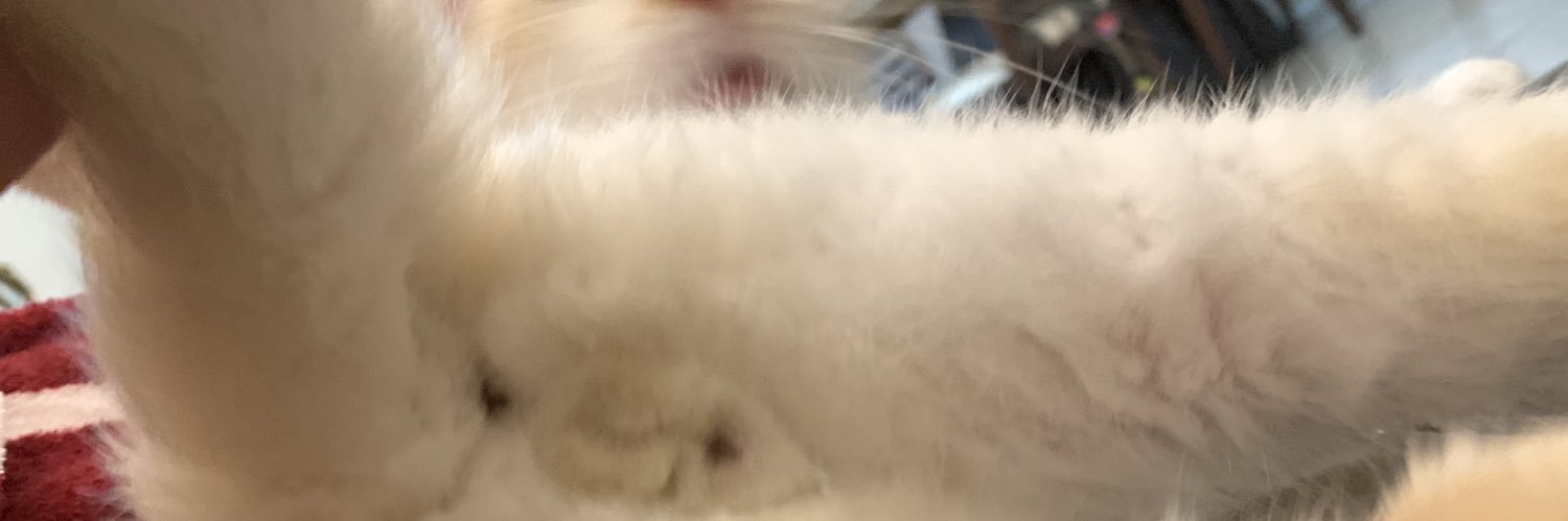 luiwho's profile banner image