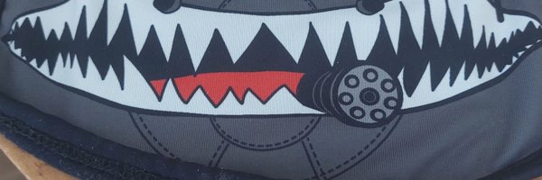 donlav Profile Banner