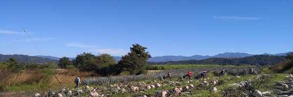 SinuhePH Profile Banner