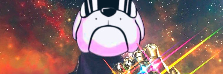 The Daily Hoge banner