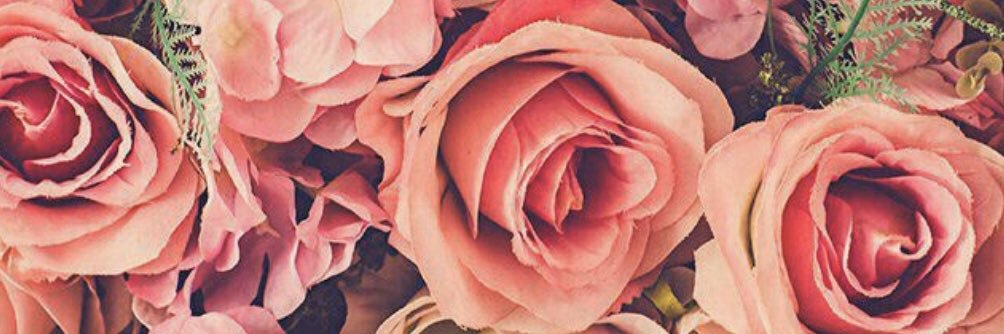 feer_romer's profile banner image