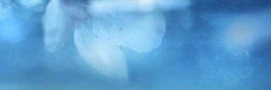 __Sara__MH's profile banner image
