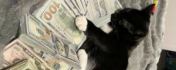 JUIC banner