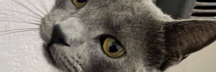 Valenzapat1's profile banner image