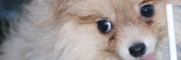 HHmorton's profile banner image