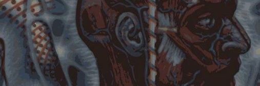 pedrovvida's profile banner image