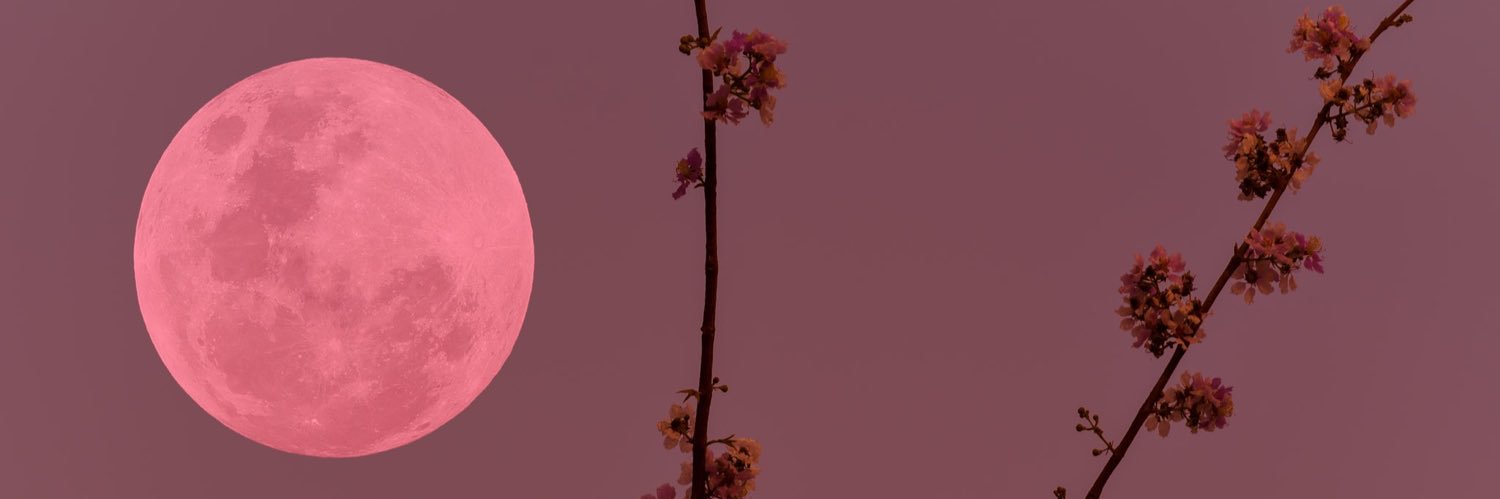 Lyn banner