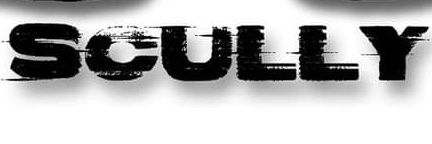 ScullyViBeZz's profile banner image