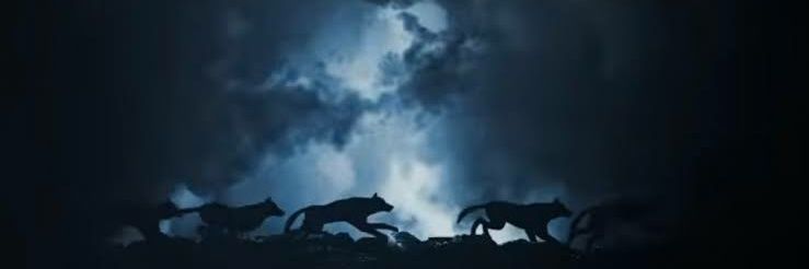 blockchaindoc banner