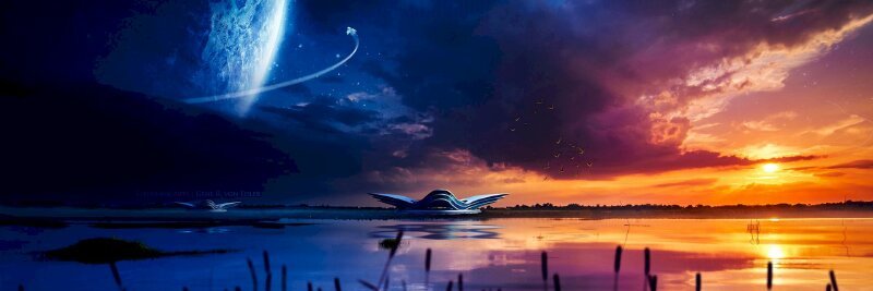 tamy2204's profile banner image
