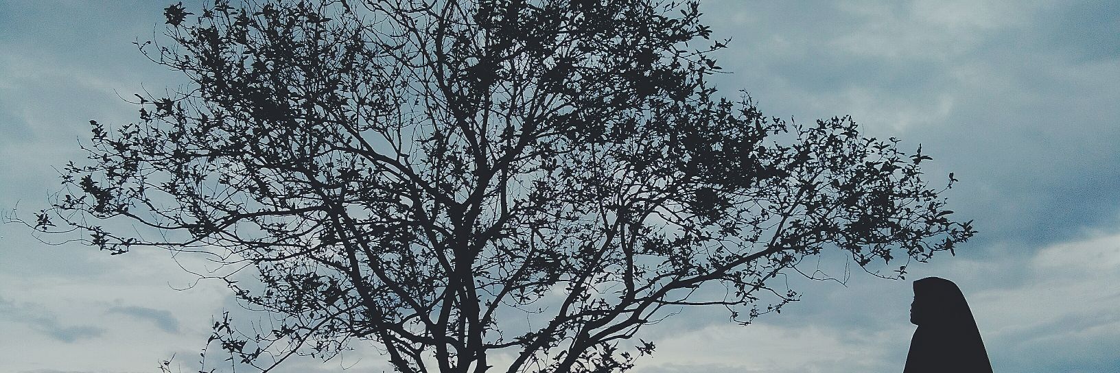 CMaynila's profile banner image