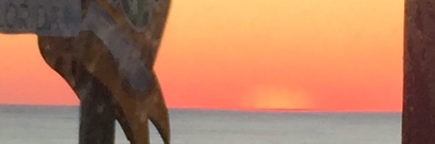 ramanddj's profile banner image