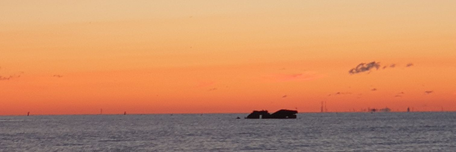 OlgaStarPom's profile banner image