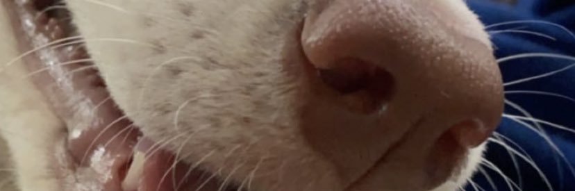 jcrowds28's profile banner image