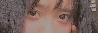 MaddockMyrna's profile banner image