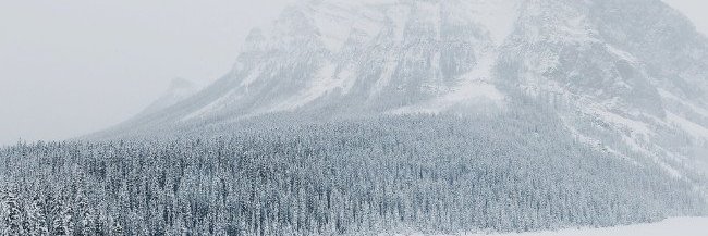 charles_guild's profile banner image