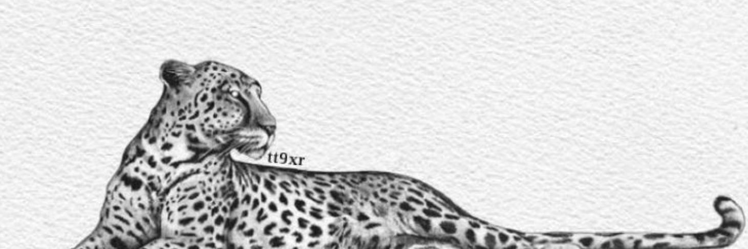 _lll0ll7's profile banner image