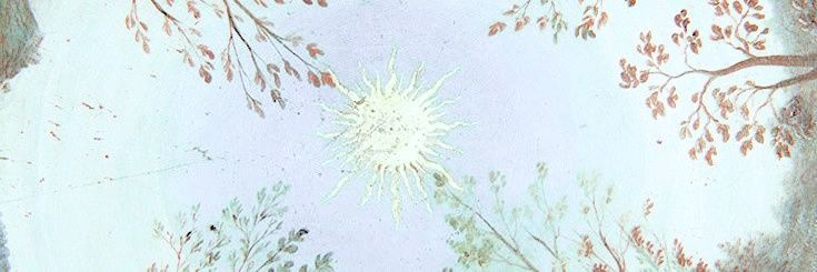 ‍‍ ‍‍‍ ‍‍‍ ‍ ‍ ᅟ𖧷ᅟ ࣭ ᅟ𝓦𝙸𝙻𝙳ᅟ𝕱𝙻𝙾𝚆𝙴𝚁 .ᐟ banner